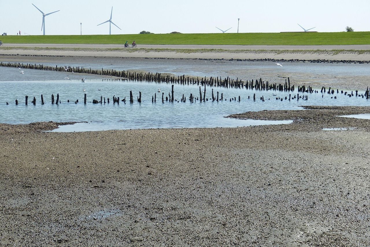 Das Watt vor Neuharlingersiel mit Buhnen bei Ebbe.