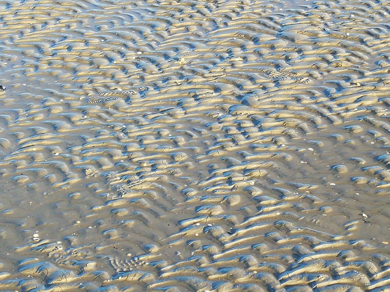 Rippelmuster im Watt vor Schillig bei Ebbe.